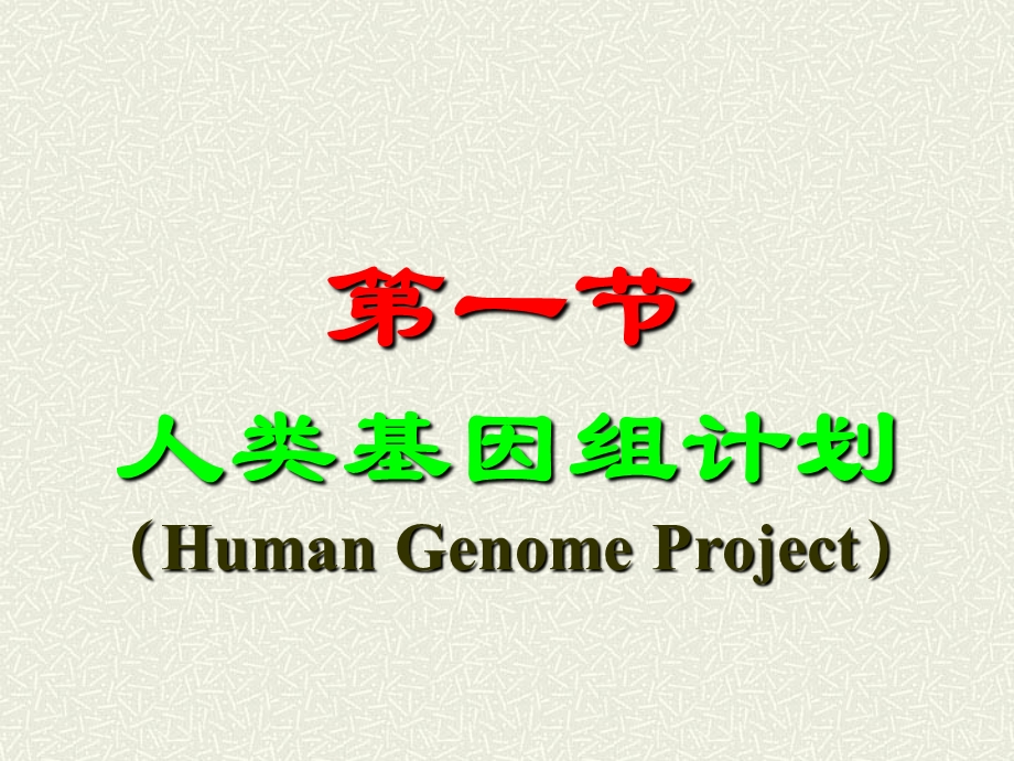 大学生物遗传学：第11章动物基因组学课件.ppt_第3页