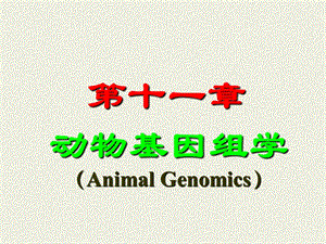 大学生物遗传学：第11章动物基因组学课件.ppt