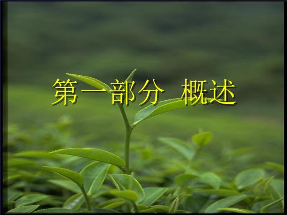 医院感染与抗菌药物 课件.ppt_第2页