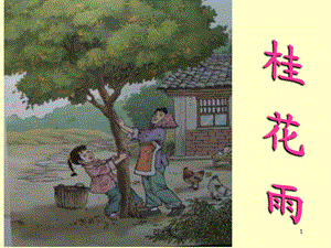 五年级上册语文桂花雨课件.ppt