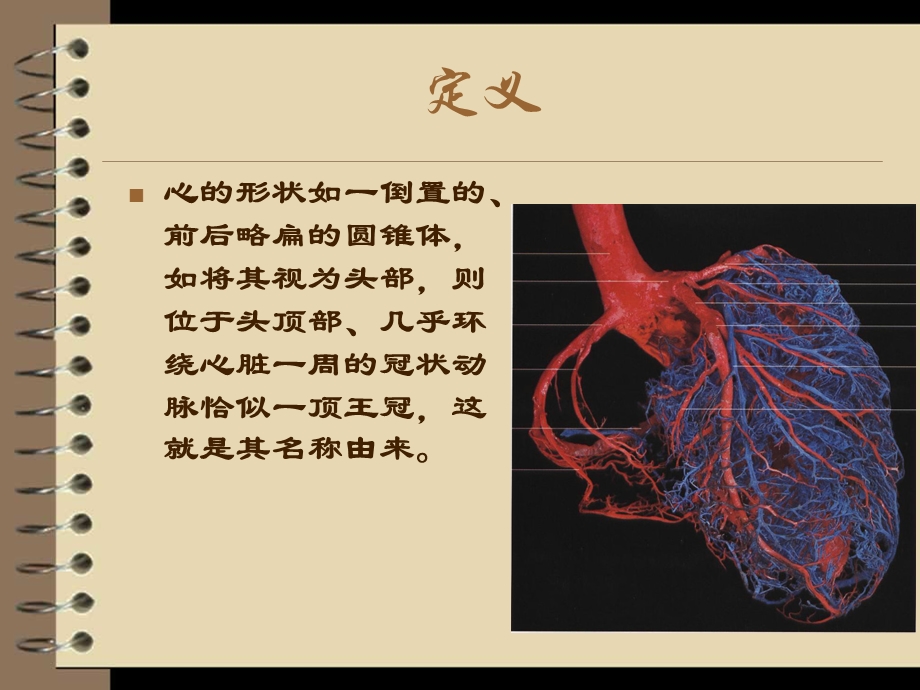 冠状动脉的解剖与照影课件.ppt_第2页