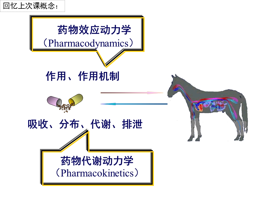 兽医药理学ppt课件(第1章).ppt_第2页