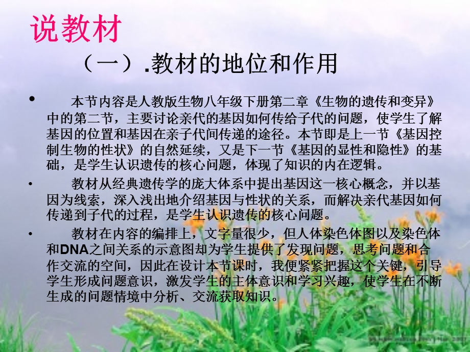 初中八下2基因在亲子代间的传递课件.ppt_第3页