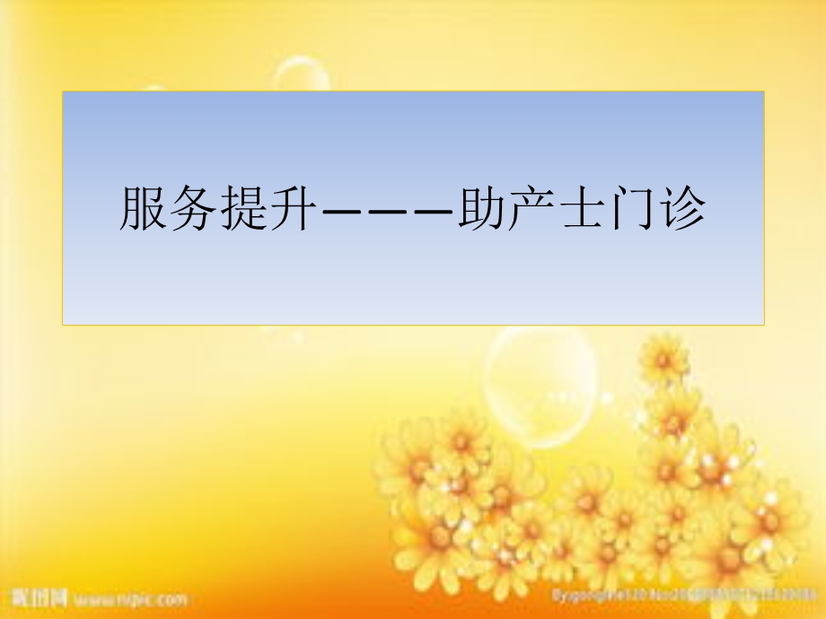 助产士门诊课件.ppt_第1页