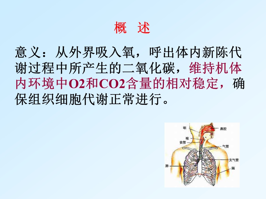 呼吸生理学课件.ppt_第3页