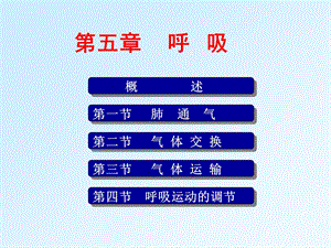 呼吸生理学课件.ppt