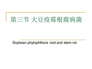 大豆疫霉根腐病菌课件.ppt