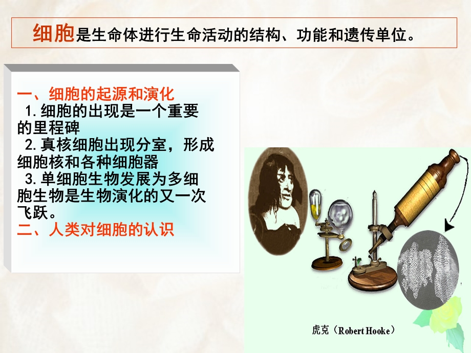 大学植物学ppt课件第一章植物细胞.ppt_第3页