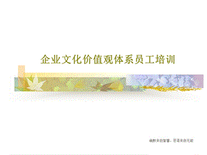 企业文化价值观体系员工培训课件.ppt