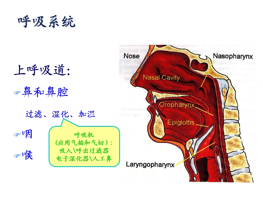 呼吸机原理课件.ppt_第3页