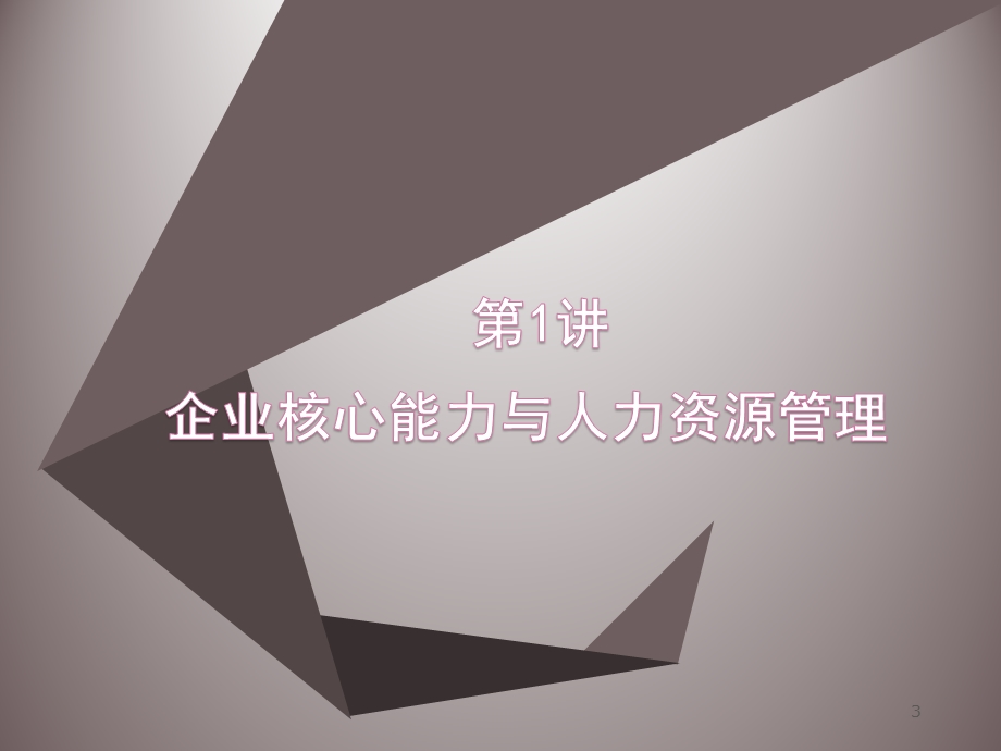 基于公司战略的人力资源管理课件.ppt_第3页