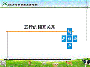 五行的相互关系重点课件.ppt