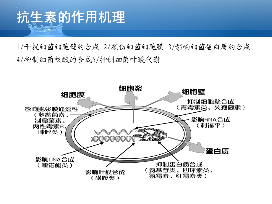 呼吸内科抗生素的使用课件.ppt_第3页