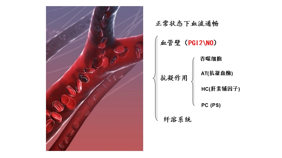 凝血功能相关理解课件.pptx_第3页