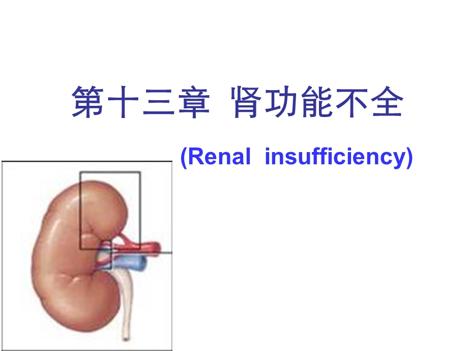 动物病理学13第十三章肾功能不全课件.ppt_第1页