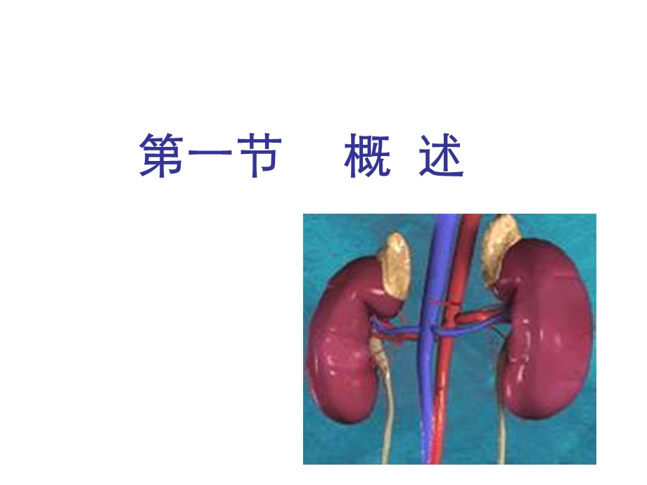 动物病理学13第十三章肾功能不全课件.ppt_第3页