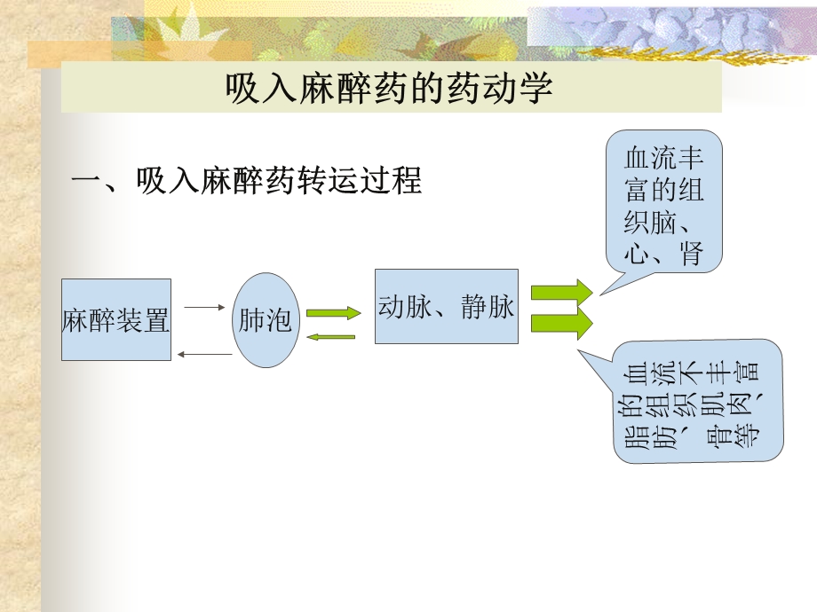 吸入麻醉药的药动学与药效学课件.ppt_第2页