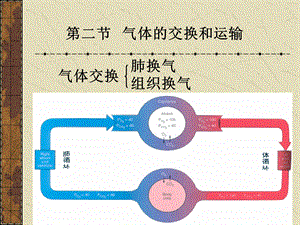 大学生理学呼吸课件.ppt