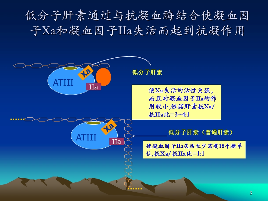 低分子肝素是不同的解析课件.ppt_第3页