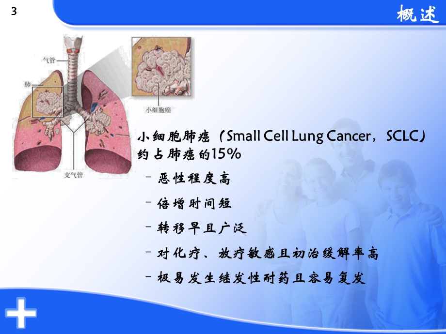 小细胞肺癌一线化疗课件.ppt_第3页