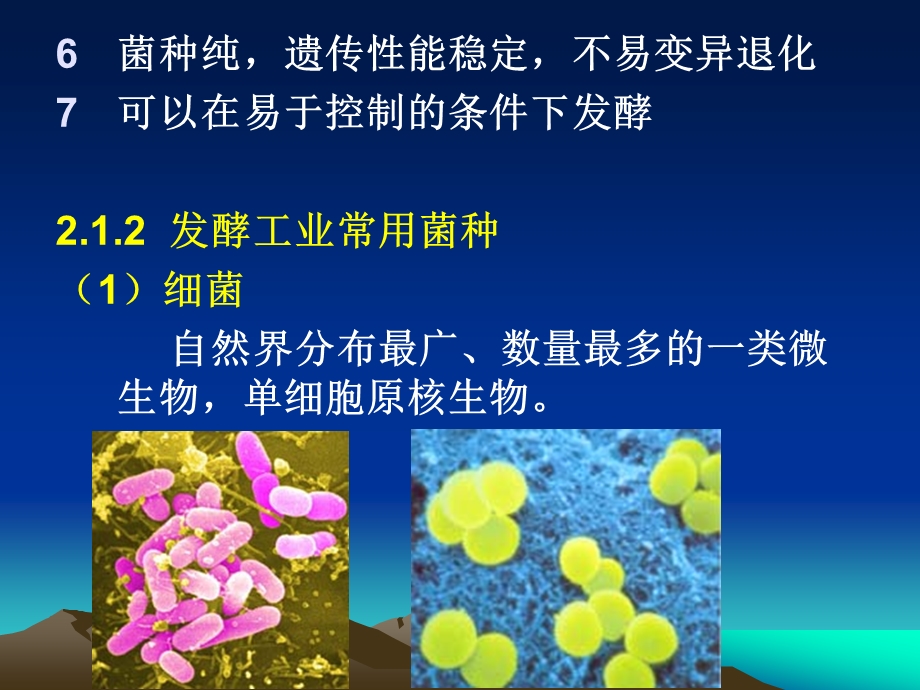 发酵工业菌种课件.ppt_第3页