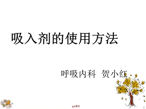 呼吸内科吸入剂的使用课件.ppt