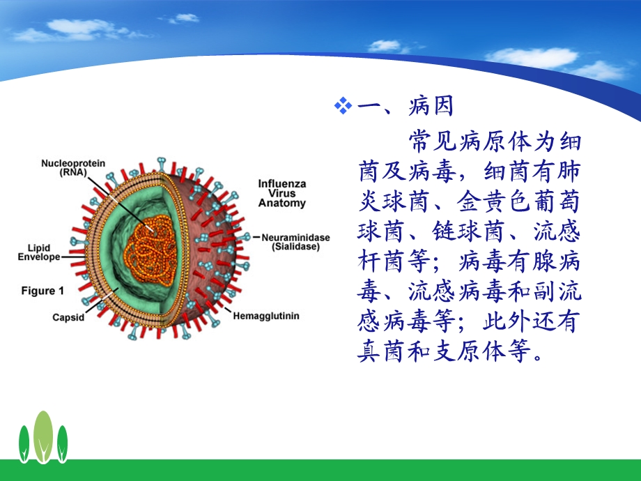 小儿肺炎的护理课件.ppt_第3页