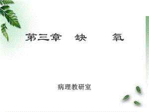 临床医学 病理学 缺氧课件.ppt