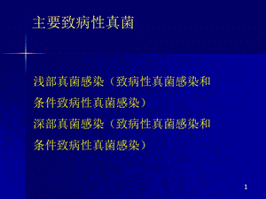 主要致病性真菌课件.ppt