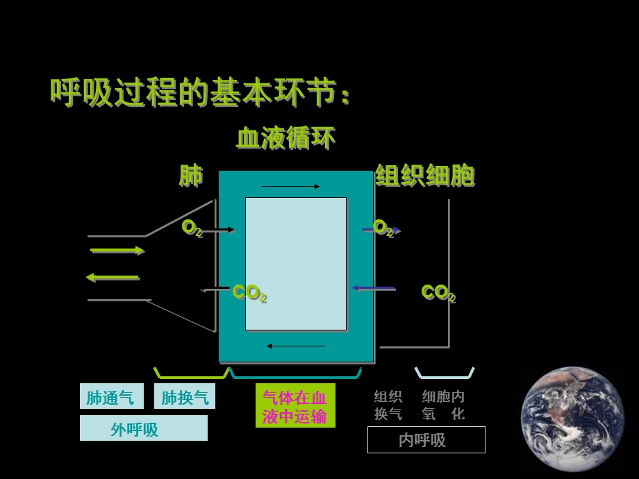 呼吸机应用大全课件.ppt_第2页