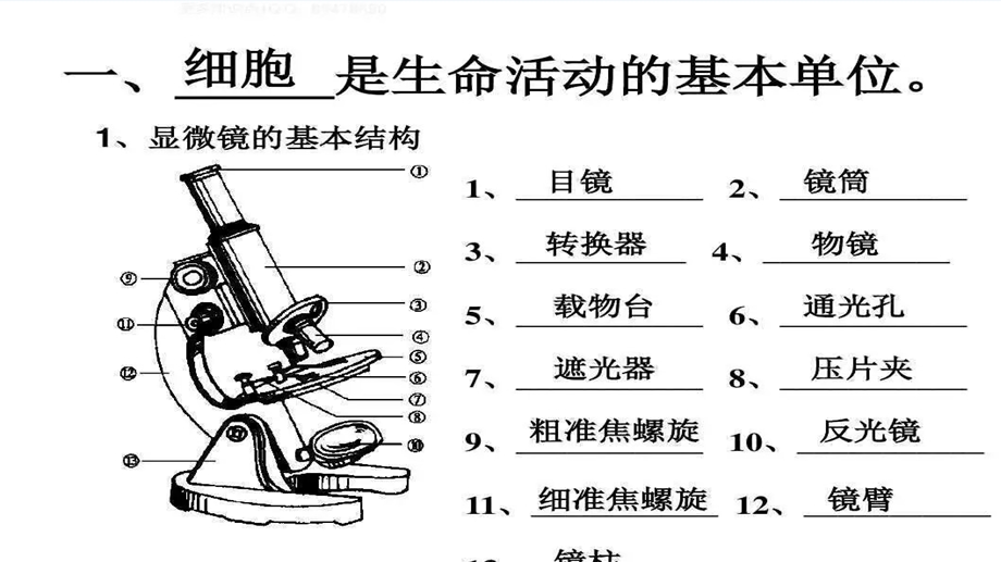 初中生物历年高频会考主观题《含答案》课件.pptx_第1页