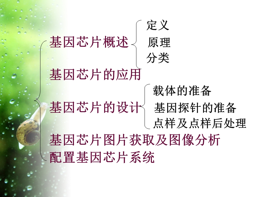 基因芯片概述课件.ppt_第3页