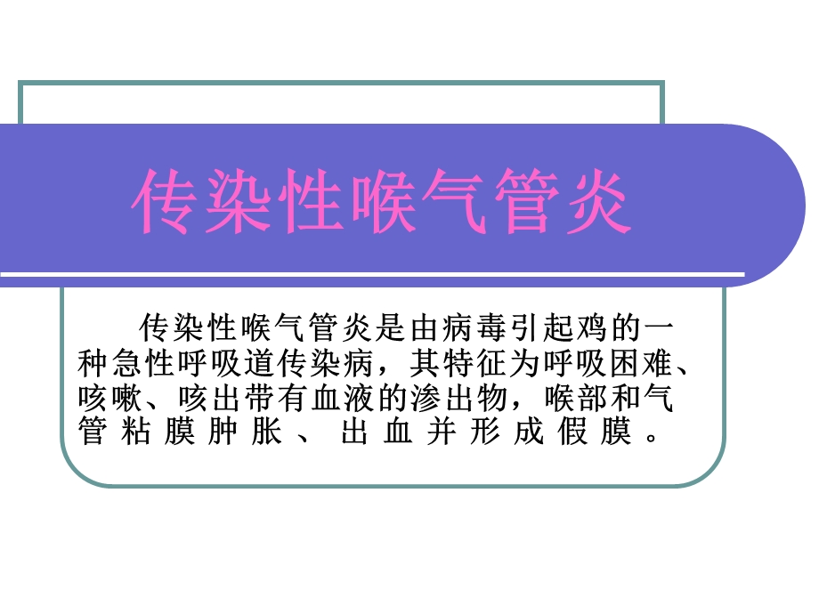 传染性喉气管炎课件.ppt_第1页