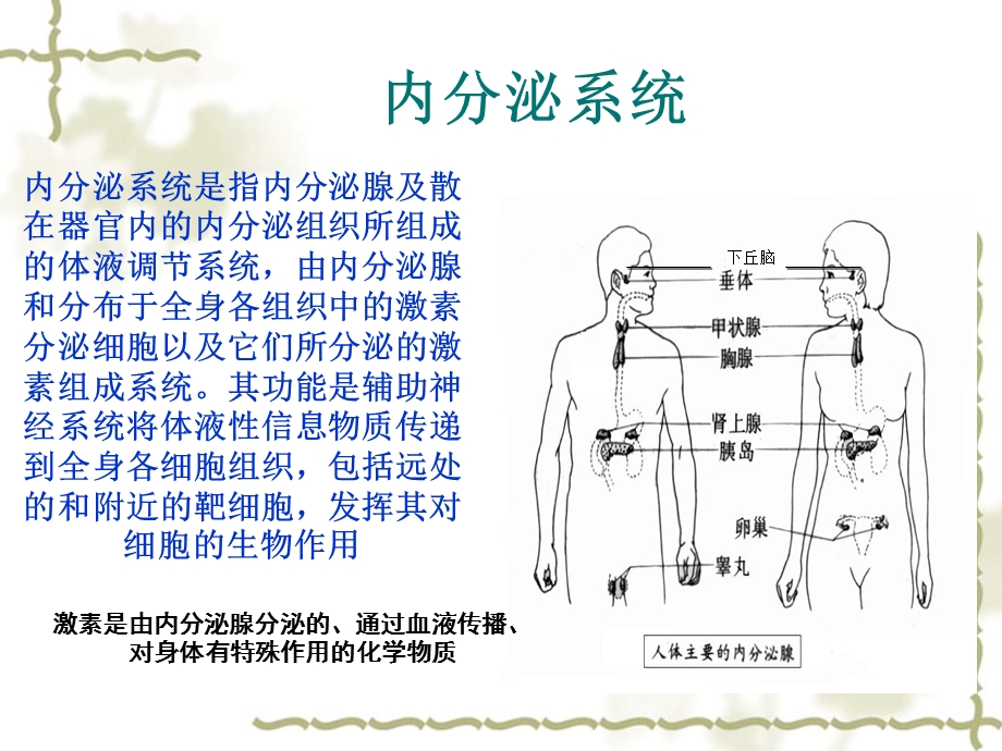 内分泌系统常见症状与体征课件.ppt_第3页