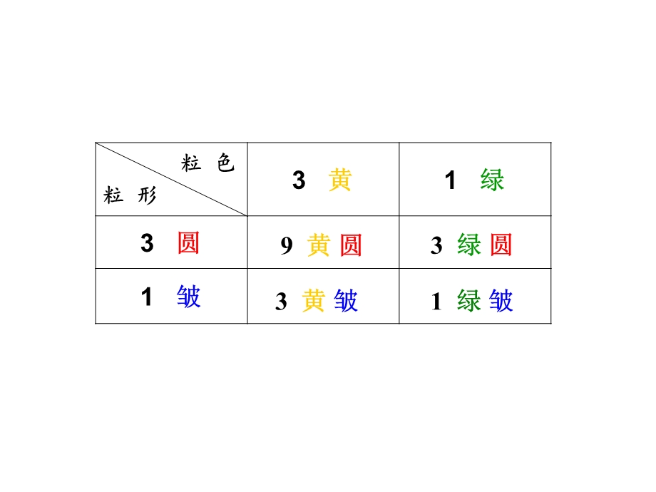 基因的自由组合定律课件.ppt_第3页