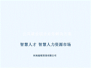 公共就业综合业务解决方案人才市场信息化解决方案课件.ppt