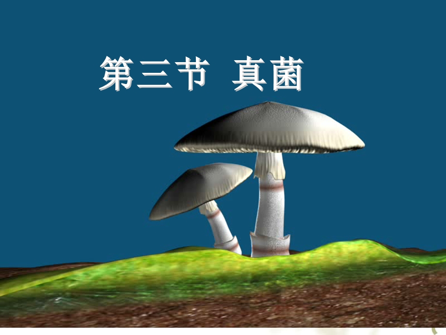 八年级生物《真菌》ppt课件.ppt_第1页