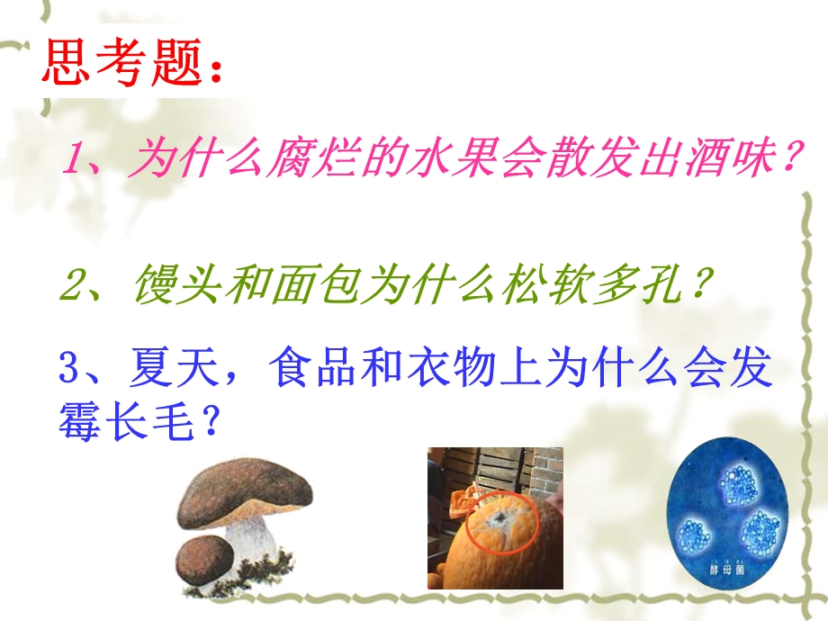 八年级生物《真菌》ppt课件.ppt_第2页