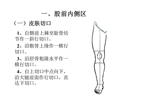 局部解剖学ppt课件之 下 肢.ppt