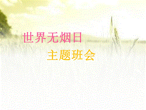 世界无烟日主题班会课件.ppt