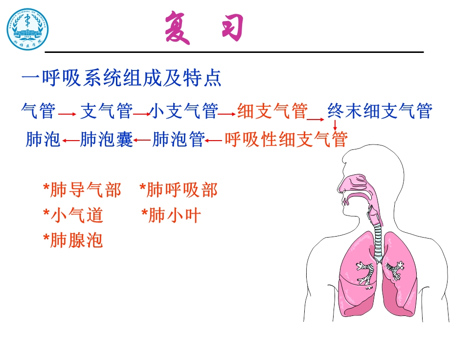 呼吸系统疾经典病课件.ppt_第2页