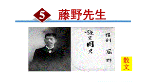 部编版八年级语文上册第二单元ppt课件配套版.ppt