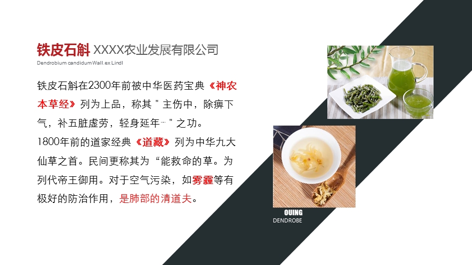 铁皮石斛项目路演产品(内容详尽+框架完整)ppt通用模板课件.pptx_第3页