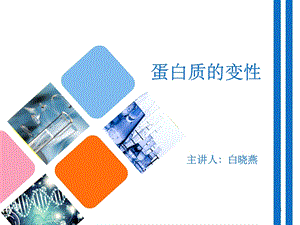 蛋白质的变性课件.ppt