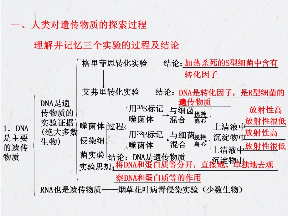 遗传的分子基础课件.ppt_第2页