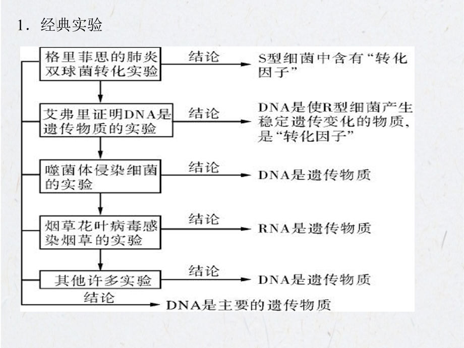 遗传的分子基础课件.ppt_第3页