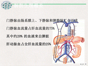 门静脉高压症患者的护理ppt课件完整版.pptx