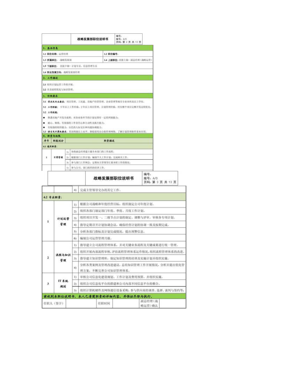 战略发展部岗位职责讲解.doc_第2页