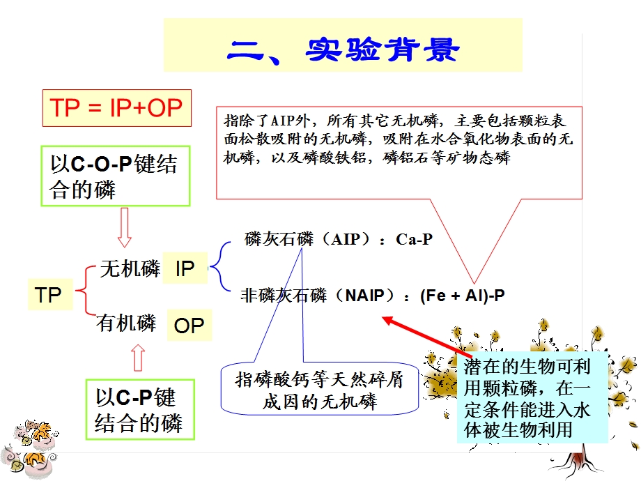 试验12沉积物磷分级提取及生物可利用磷估算课件.ppt_第3页