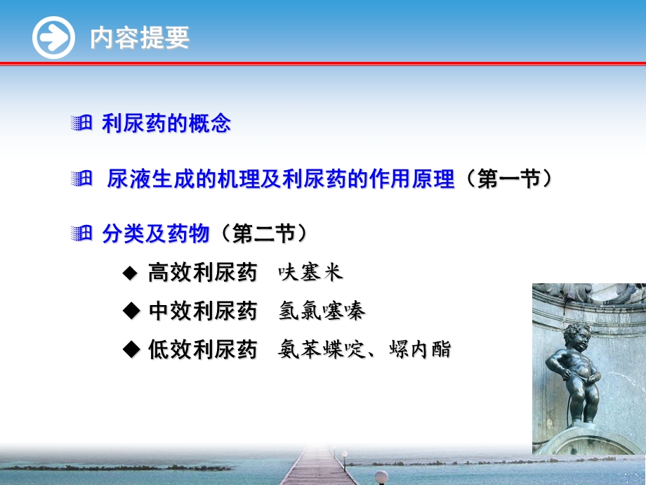 药理学完整知识利尿药课件.ppt_第2页